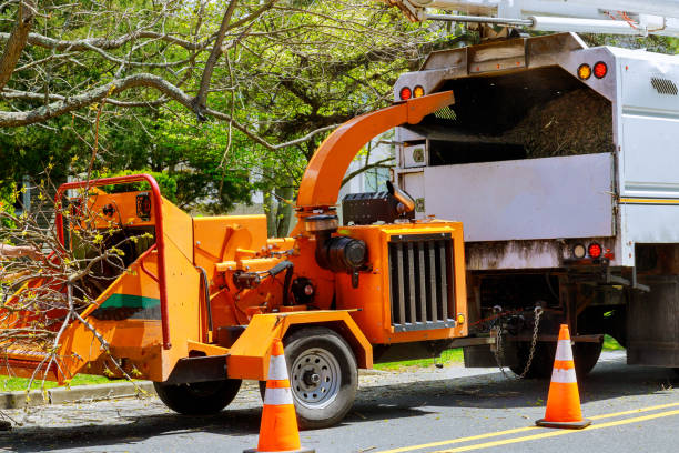 Best Tree Pruning Services  in Hailey, ID